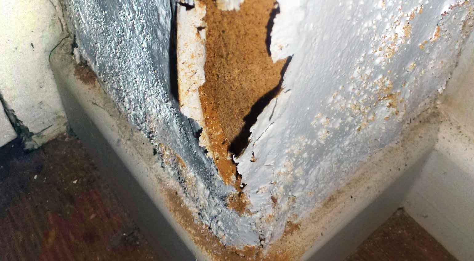 Salt damaged walls